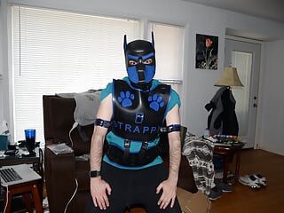 Jun 24 2023 - Unboxing My Blue Bronco & Magnus Harness, And Pup Strappys First Bork Haha free video