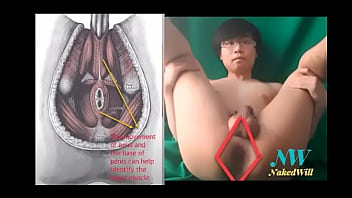 Nakedwill Nude Demo Kegel Exercise For Ed, Incontinence And Better Sex free video