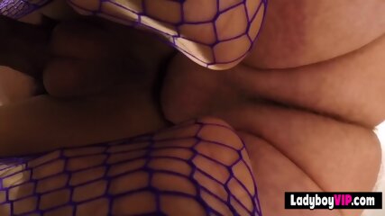 Hot Thailand Shemale Slut In Purple Fishnet Lingerie free video